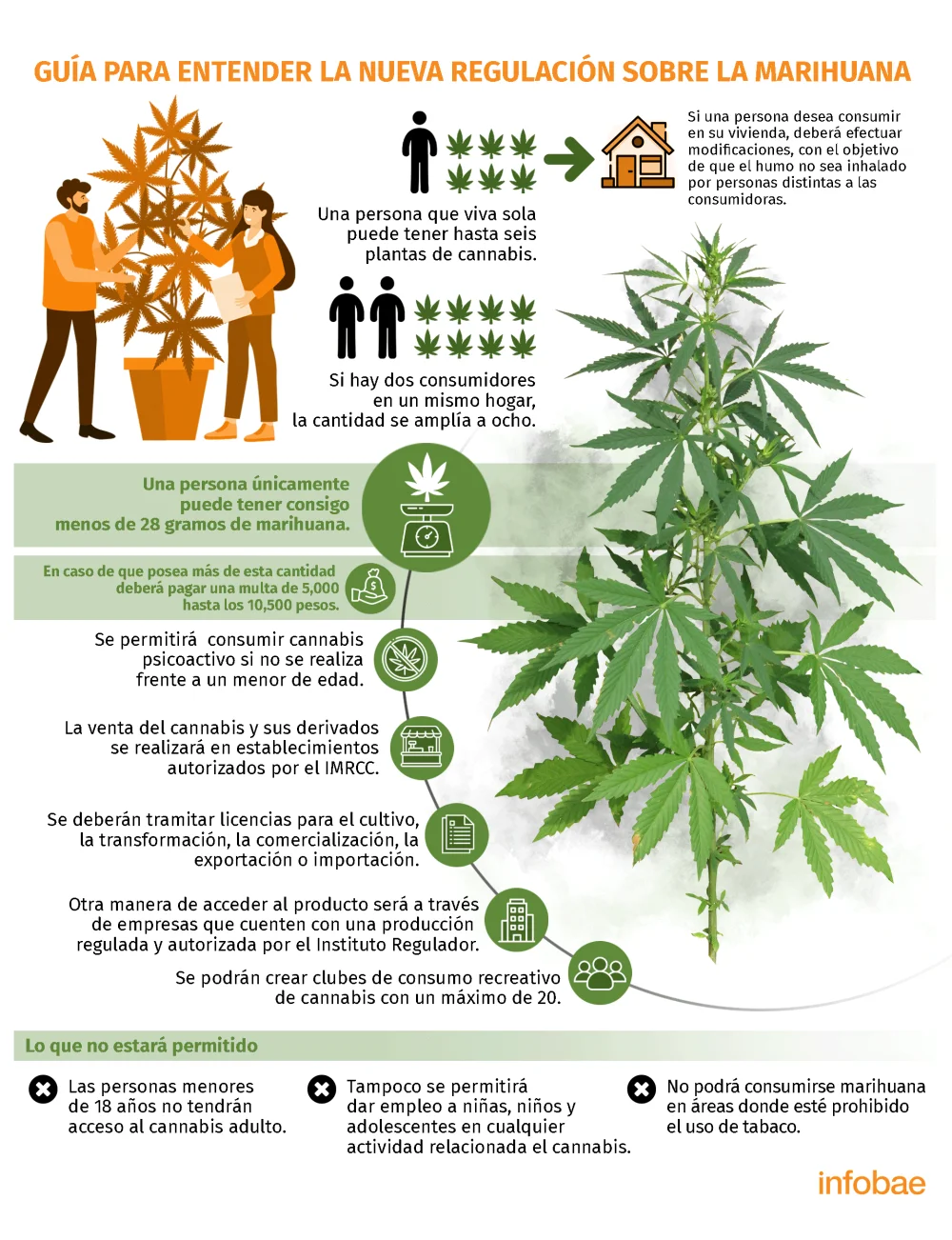 Aprobación de la Marihuana en México: Un Cambio Histórico