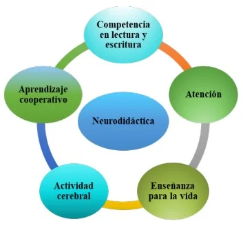 Enfoque neuroeducativo para desafíos de aprendizaje