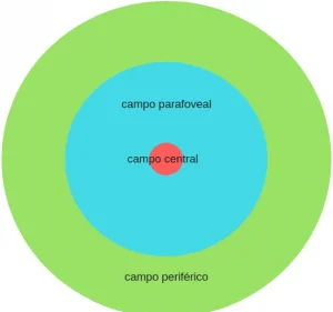 Entendiendo la apraxia oculomotora en profundidad