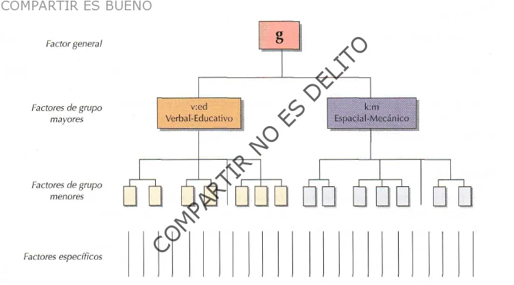 Estructura y funcionamiento del modelo jerárquico Vernon