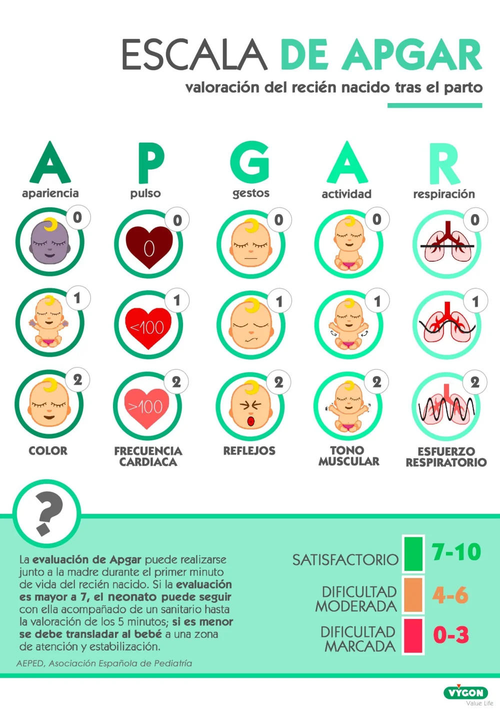 Evaluación Apgar: Salud del Recién Nacido