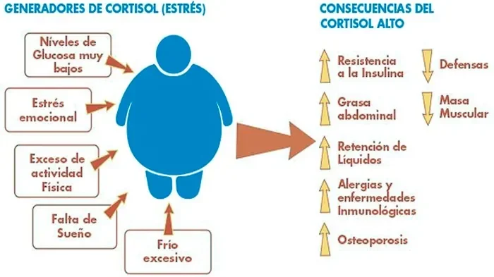 Impactos del nivel elevado de cortisol en la salud