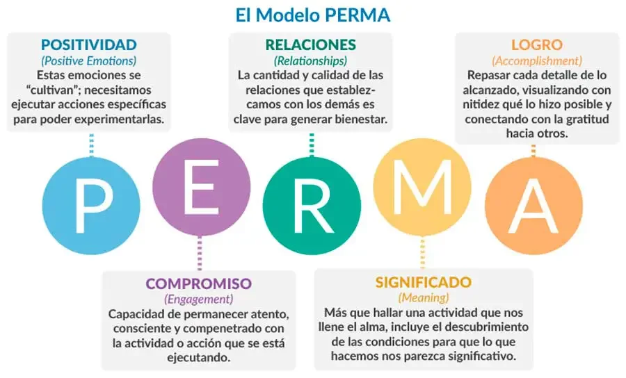 Modelo-PERMA: Potencia tu bienestar psicológico y emocional