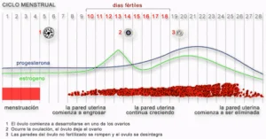 Placer Sexual a lo Largo de los Años