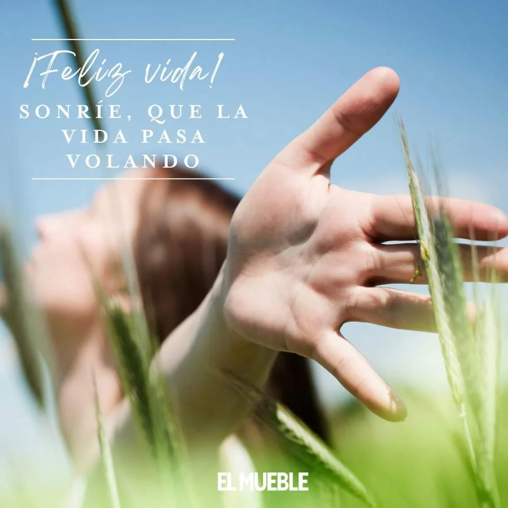 Reflexiones Auténticas para la Vida Diaria
