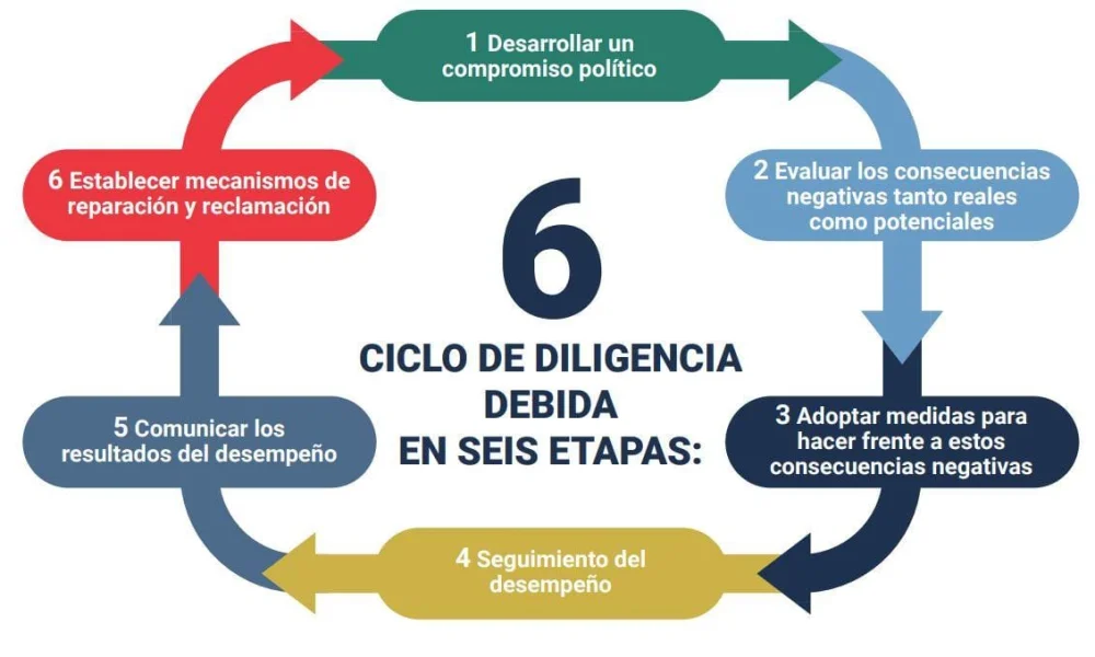 Visión de género: entendimiento y aplicación efectiva