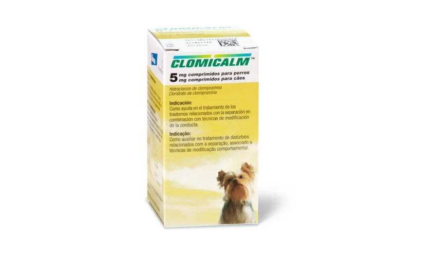 Beneficios y usos del clomipramina para tu bienestar