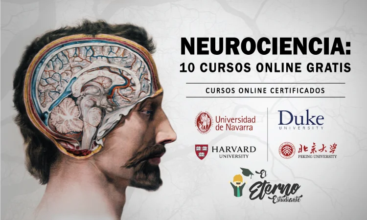 Cursos Gratuitos en Neurociencias: Educación Online para Todos