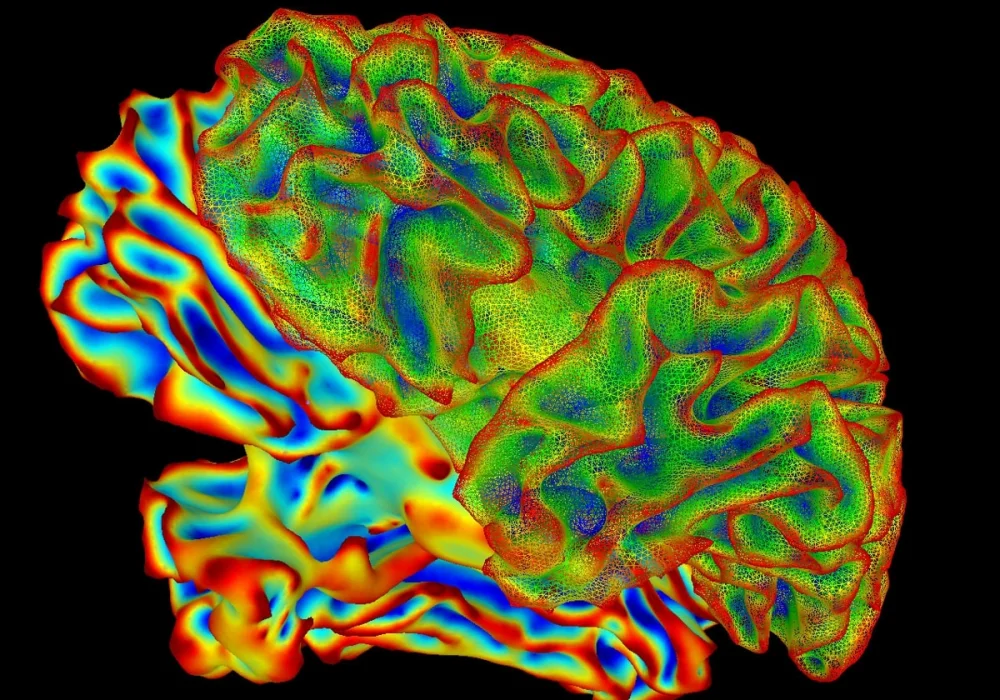 Impacto de la Psicoterapia en la Transformación Cerebral