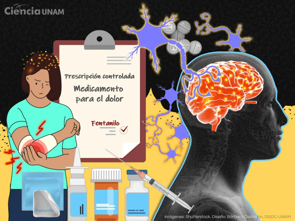 Impacto del fentanilo en la salud pública y sociedad
