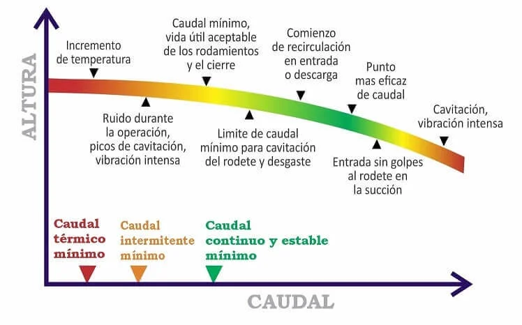 Intensidad de la Curva: Impacto y Significado