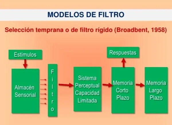 Modelos Atenuados de Filtro Rígido