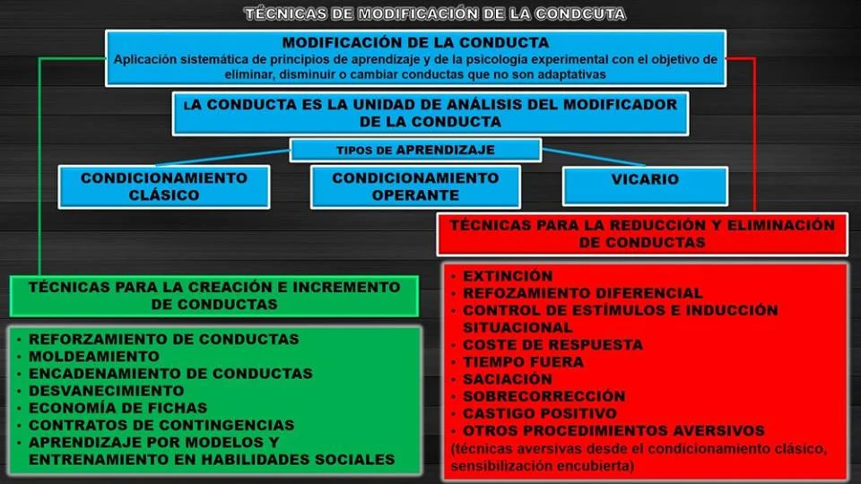Secretos del Moldeamiento: Técnicas y Beneficios Revelados
