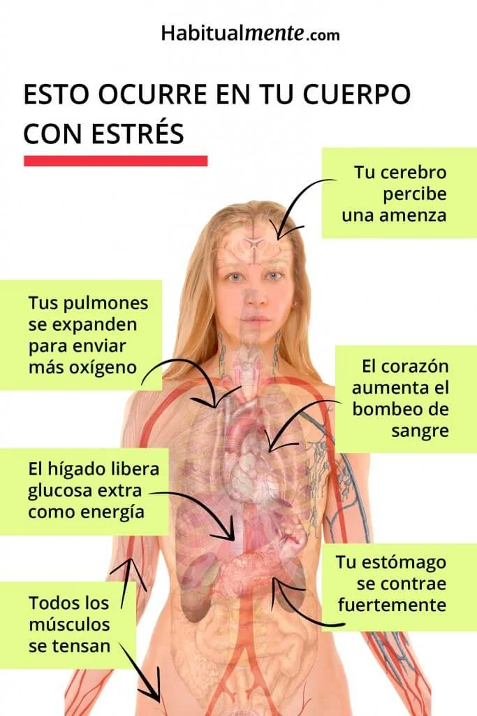 Transforma tu vida eliminando el estrés