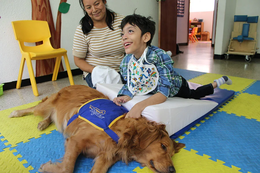 Beneficios de las cobayas para jóvenes con autismo