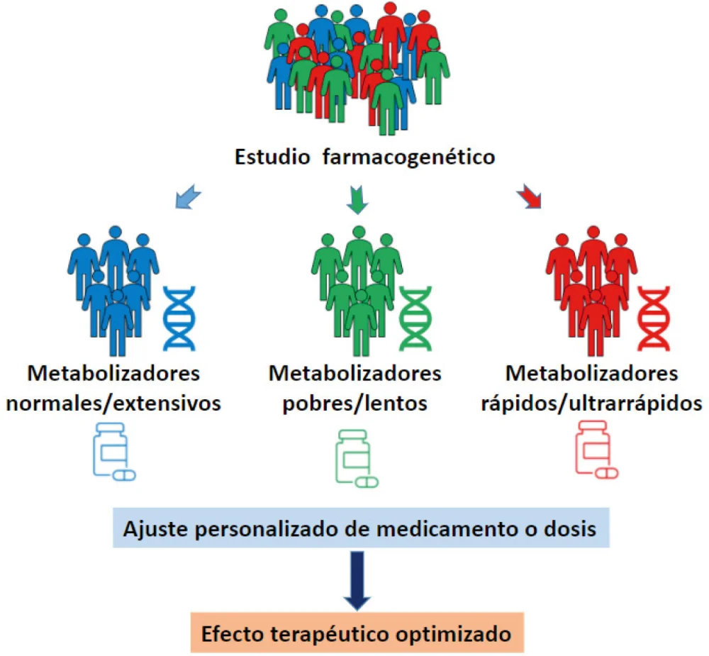 Efectos y aplicaciones médicas de la pimozida
