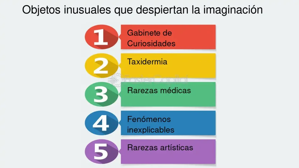 El miedo a los objetos de madera: un fenómeno inusual