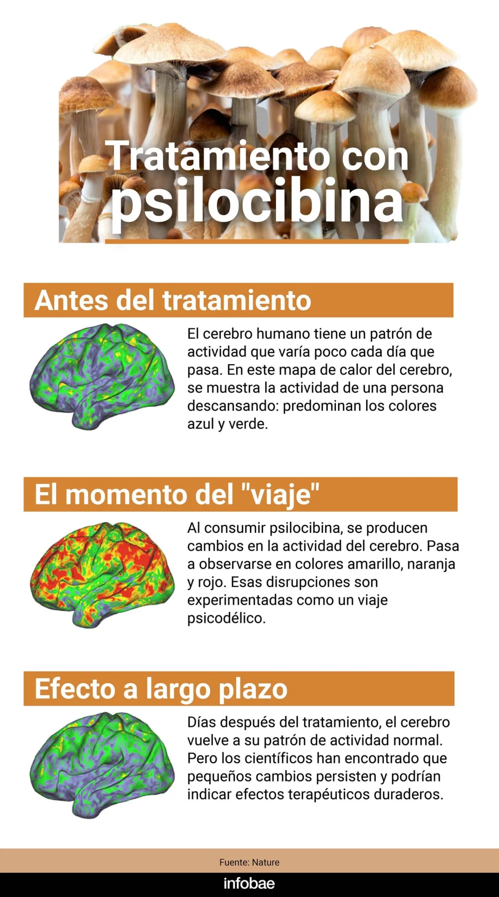 Los sorprendentes beneficios de la psilocibina en la salud mental