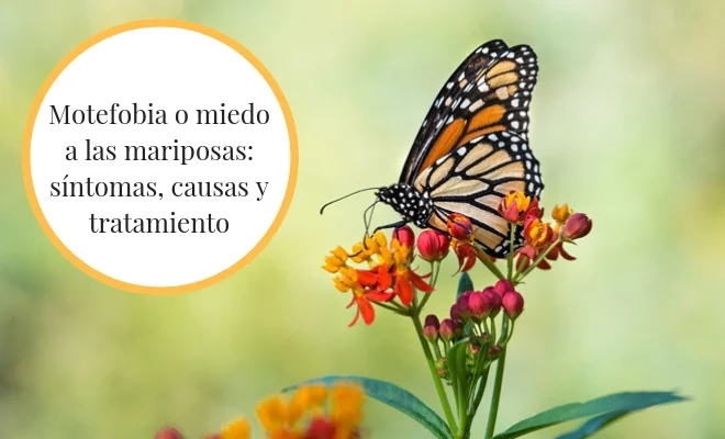 Supera el miedo irracional a las mariposas