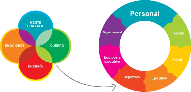 Transformación integral de equipos con enfoque holístico