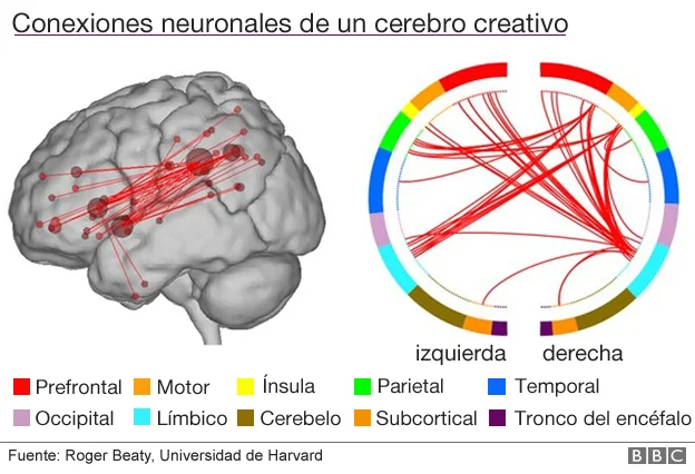 Zonas cerebrales clave en el proceso creativo