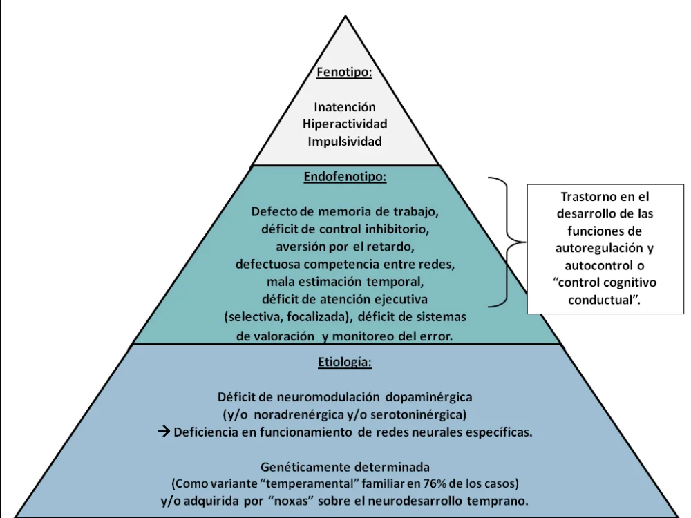 Nuevas Perspectivas sobre el Déficit de Atención Selectiva TDAH
