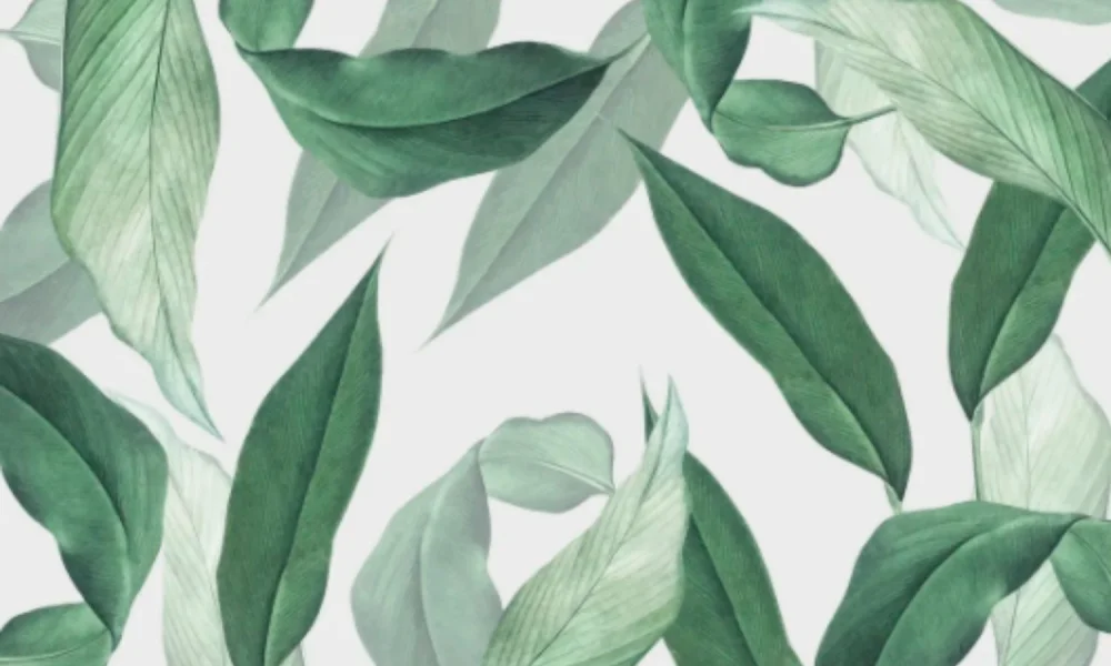 Plantas que Promueven el Bienestar Mental y el Relajamiento