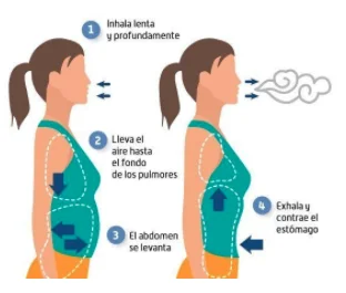 Principios de la respiración abdominal para controlar la ansiedad