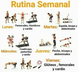 Rutina efectiva de estiramientos para el bienestar físico