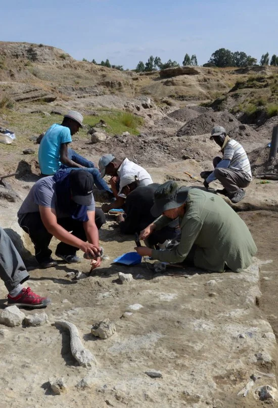 Secretos de la Arqueología Cognitiva: Un Viaje Mental Fascinante