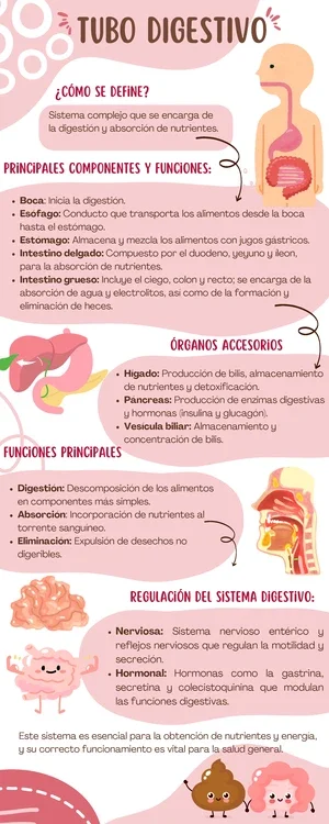 Secretos y funciones de la colecistoquinina reveladas