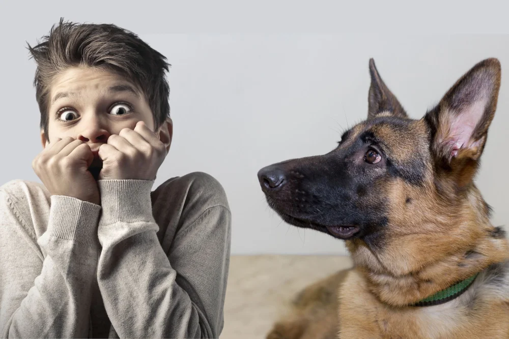 Cinofobia: Entendiendo el miedo irracional a los perros