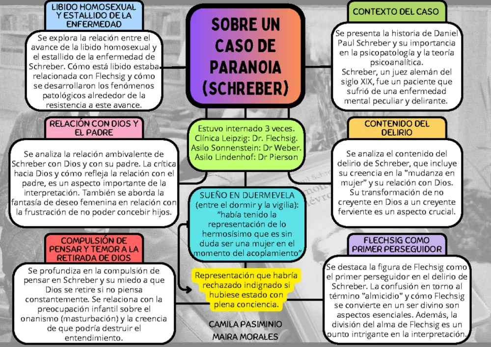 Comprende el Fenómeno del Delirio Persecutorio