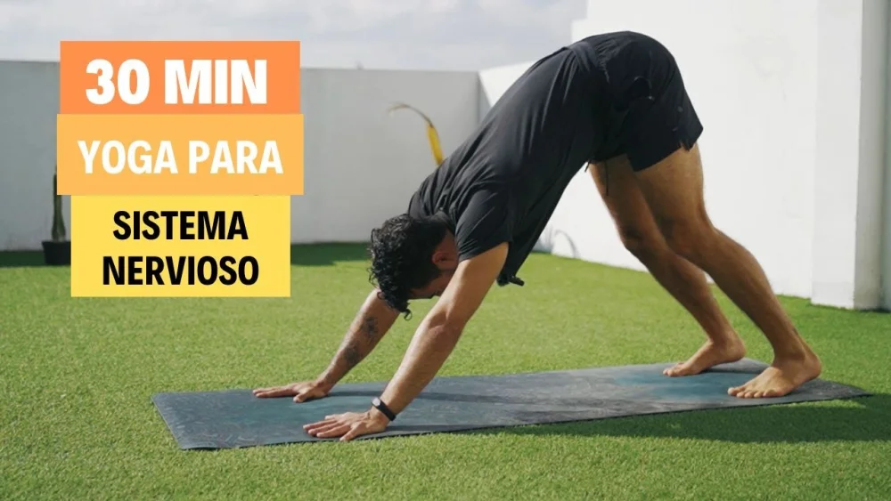 Ejercicios para Profundizar en tu Sistema Nervioso