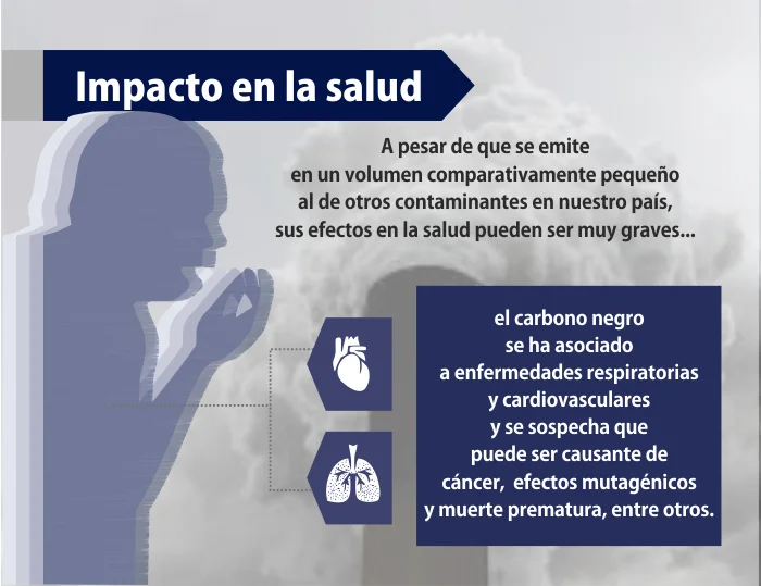 Impacto de la Muerte Gris en la Salud