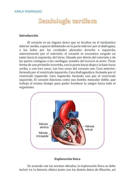 Secretos del corazón: Una mirada a los focos cardíacos