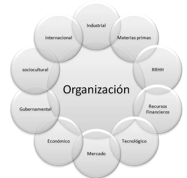 Dominio del Saber en Entornos Organizacionales