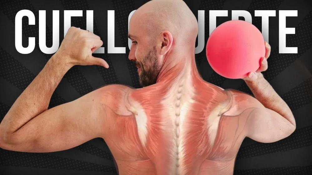 Fortalece y cuida la salud de tu cuello