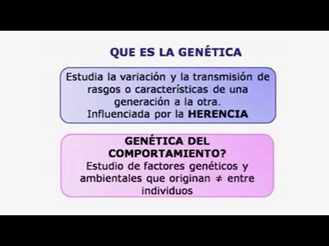La relación entre genética y comportamiento humano