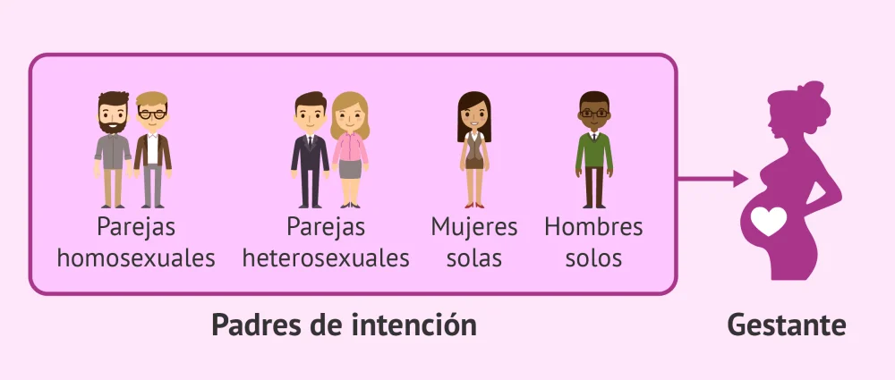 Maternidad Subrogada: Comprendiendo el Proceso y sus Implicaciones