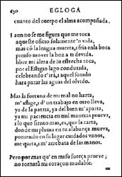 Versos de Garcilaso de la Vega: Belleza y Sentimiento