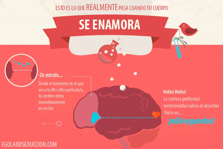 8 Estrategias para Enamorar Chicas y Fortalecer tu Autoconfianza Sexual