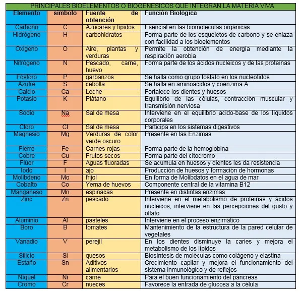 Claves Esenciales de los Elementos Biogénicos