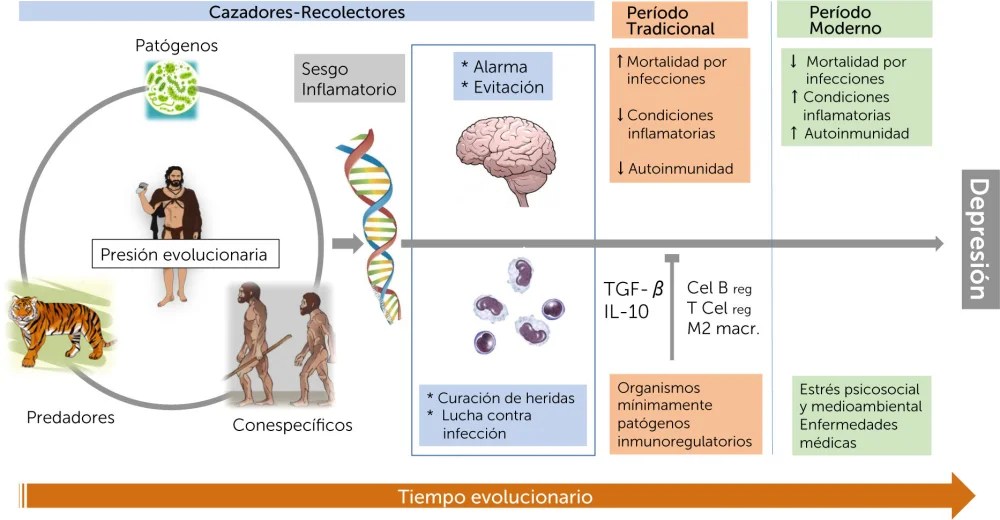 Comprende la Depresión Altamente Funcional