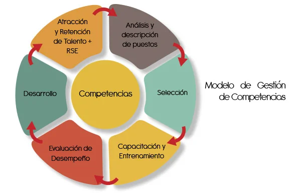 Evaluación Integral de Talento y Competencias Profesionales