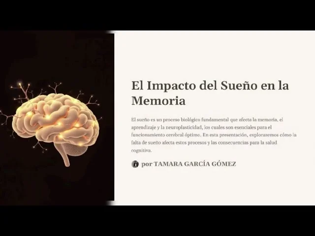 Impacto de la falta de sueño en la memoria