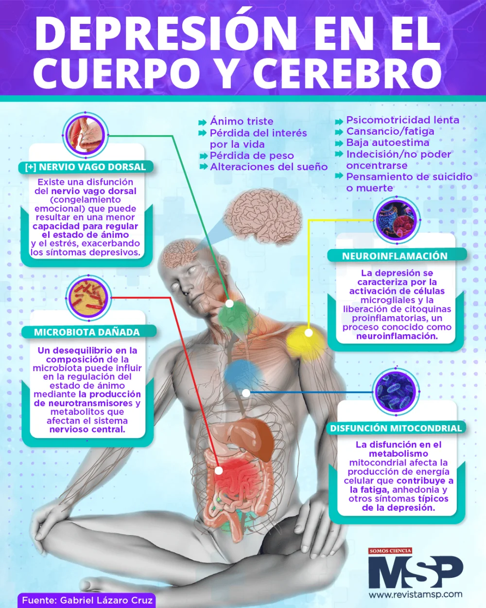 La depresión va más allá del cerebro