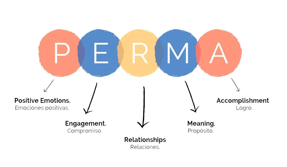 Las Claves Psicológicas de Martin Seligman para el Bienestar
