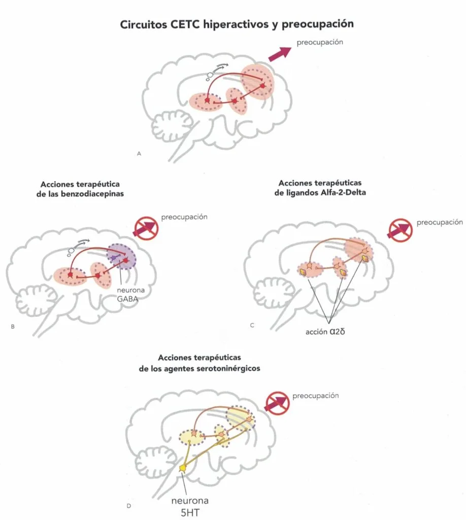 Refuerzos entre ansiedad y rumiaciones: ¿Cómo se conectan?