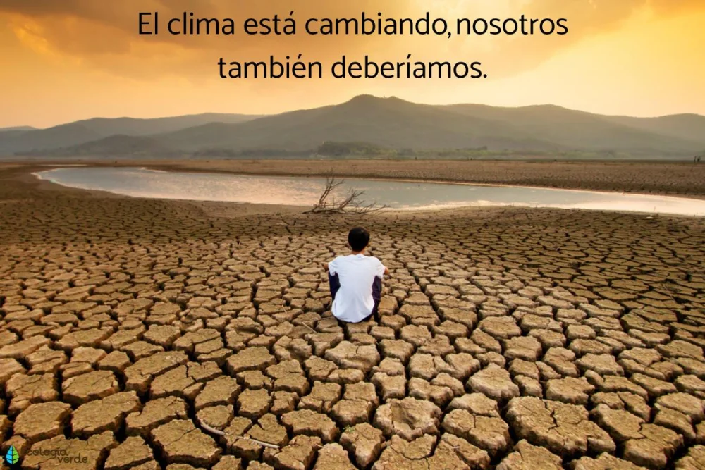 Citas inspiradoras de Al Gore: Claves para el cambio climático